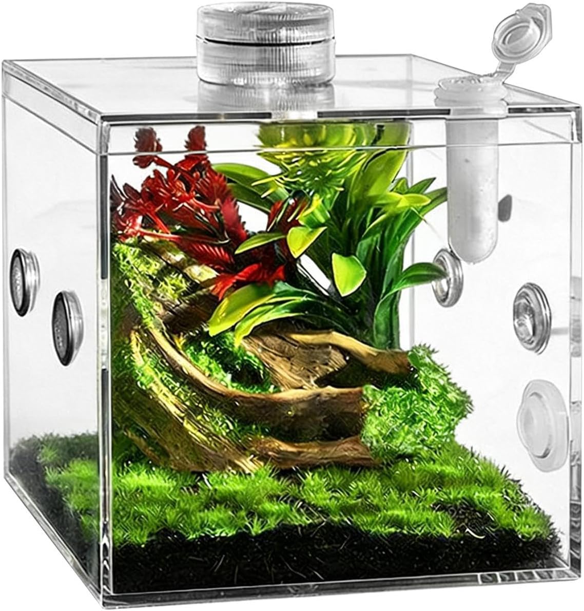 Recinto para Arañas Saltadoras, Juego De Cría De Reptiles Acrílico Transparente con Recinto, Paisaje, Dispositivo De Ventilación, Plato, Dispositivo De Iluminación para Tarántulas Arbóreas