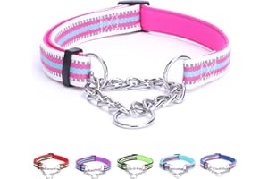 LOS ANDES Dog Choke Collar Martingale Collar with Limited Chain Strong Nylon Collar with Soft Padded No Pull Reflective Training Collar for Large, Medium and Small Dogs(S:Neck 25-45cm,Rose Red)