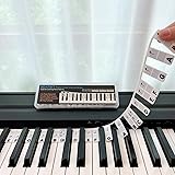 BEATBIT Note di pianoforte guida per principianti, etichette rimovibili per tastiera, note per apprendimento, senza bisogno d