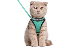 rabbitgoo Zestaw uprzęży dla kota i smycz do chodzenia, odporna na ucieczkę, regulowana, miękka kamizelka z odblaskowym paskiem dla bardzo małych kotów, wygodna uprząż kamizelki do noszenia na