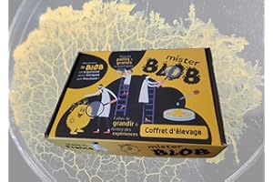 MISTER BLOB Kit Complet Blob (Physarum polycephalum) (Badhamia), à partir de 7 ans