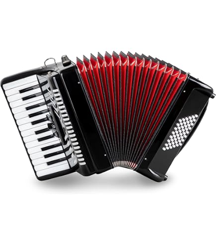 Fisarmonica Hohner Bravo BR48WH - 48 Bassi, 26 Tasti, Bianco Perla - Nuova Con Borsa E Cinghie - Foto 4