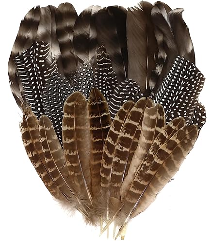 JAWSEU 50 stuks veren om te knutselen, knutselveren, veren, handwerk, ganzenveren, natuurlijke veren voor doe-het-zelf handwerk, knutselen, veren