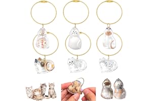 Audasi 6 Pcs Cat Fur Bottle Keychain, Ciondolo Capsula Commemorativa A Forma Gatto In Acrilico Trasparente Ciondolo Commemorativo Gatti Pelo Animale Domestico Bottiglia Conservazione Regalo Collezione
