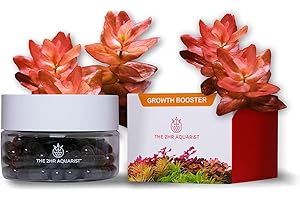 THE 2HR AQUARIST 2HR Aquarist APT Jazz Engrais Racinaire pour Plantes d'aquarium (54 Tabs)