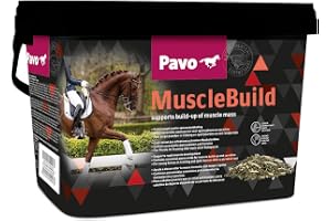 Unbekannt Pavo MuscleBuild – en storlek