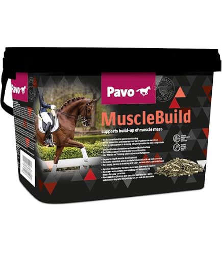 Equistro Excell E vloeibaar 1000 ml