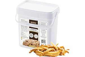 Bioky Gusanos de la Harina 1,6 KG - Tenebrios Deshidratados Premium 10L - Comida para Aves, Tortugas, Peces, Hamster, Pájaros, Roedores | +50% Proteína