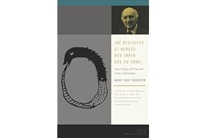 The Beginning of Heaven and Earth Has No Name: Seven Days with Second-Order Cybernetics (Meaning Systems)