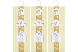 GOPERFUMME 9pcs Profuma Armadio Vestiti, Profumatori Armadio e Cassetti, Profumo Aromi Sacchetti Lavanda Profumati per Armadio Cassetti Armadietti, Profumatore Auto, Scarpiera Deodorante Armadio (9Giglio)