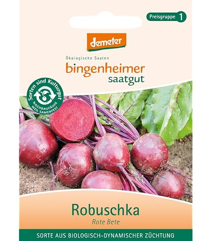Bingenheimer Saatgut - Hokkaido Krbis Red Kuri - Gemse Saatgut / Samen :  Amazon.de: Garten
