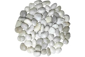 YIZZWTC 2000g Ciottoli Decorativi Giardino, 2-4 cm Pietre Decorative per Vasi Piccole, Sassolini Decorativi per Acquario Ciottoli Lucidati Naturali per Paesaggistica Vasi Piante Grasse (Bianco, 2-4 cm)