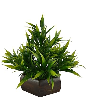 Artificial Plants Buy Artificial Plants Online At Best - 