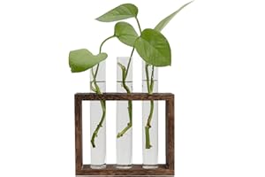 Hyindoor Jarrón de Tubo Vídrio con Marco de Madera para Plantas Hidropónicas Tubo Ensayo Decorativo para Colgar en la Pared Regalo para San Valentín Navidad Cumpleaños, 3 Orificios
