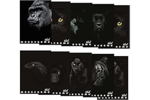 Pigna, Maxi Quaderno Monocromo Black, A4, carta interna 100 g/m², pagine 72, Copertina in Cartoncino con trattamenti lucido/opachi, interno 5M, quadretti 5 mm., Soggetti Assortiti, Confezione da 10