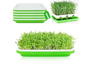 CHRI 5 Stück Keimschalen für Sprossen Seed Sprouter Tray Keimschale 31cm x 25cm Kresse anzuchtschalen Keimung Tablett Keimbox für Anzucht von Mungbohnen Alfalfa Weizengras