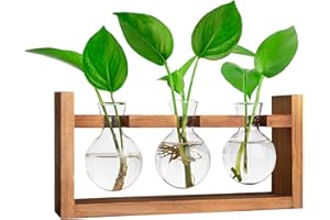 IVOLADOR I Ivolador Desktop Propagation Station Glass Plant Bulb Vase with Retro Solid Wooden Stand for Hydroponics Plants Home Garden Wedding Décor