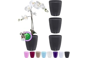 Santino ORCHIDEA Lot de 4 Pots à Orchidée avec Système de Mèche et Indicateur de Niveau d'eau (Diamètre: 12 cm, 1,3 L, Anthracite)
