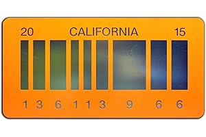 CELEBRITY MACHINES Back to The Future 2 | 2015 | Metal License Plate