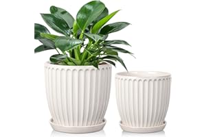Oairse Juego de 2 macetas de cerámica de 13 cm y 15 cm, maceta de cerámica blanca con agujeros de drenaje y platillos decorativos a rayas, macetas modernas para plantas suculentas de cactus, orquídeas