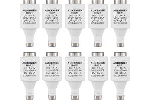 AUKENIEN DII E27 R021 spiral keramisk säkring 16 ampere spiral smältsäkring 16 A 500 V 50 KA säkring diazed säkringsinsatser