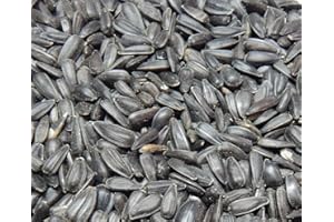 Bird`s Garden Sonnenblumenkerne schwarz 10 kg, Vogelfutter, Winterfutter,