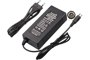 TANGSFIRE Caricabatteria per bici 36V caricabatterie 42V 2A per bici elettriche (RCA 10mm Caricabatteria per bici)