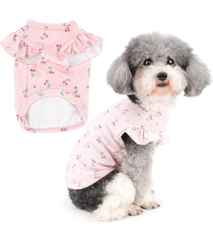 Vestito Cane Piccola Taglia Yoolhamy - T-shirt Estiva Con Fiocco Per Chihuahua, Yorkshire, Shih Tzu - Taglie XXS-M - Foto 5