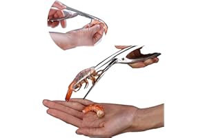 FGNUAY épluchures crevettes en acier inoxydable 304,Eplucher-crevettes Outil indispensable de cuisine, en une seule étape !Pour couper les pattes de crabe et les queues de homard (1 pièce)