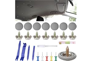 HCUNBSU 100 Stück Dachhimmel Reparatur Set, Autohimmel Reparatur Set, KFZ Reparatur Nieten Set, Auto Dachhimmel Reparatur Knopf mit Stecknadeln, Schraubendreher, Maßband, Hebelwerkzeug für Alle Autos