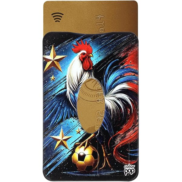 Color Pop Porta Carte Rigido Anti-RFID Collezione Provence | Protezione Carta Di Credito Produzione Francese - Stampa Villaggio 6x9 Cm - 3