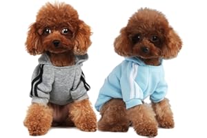 PenghaiYunfei Felpa con Cappuccio per Cani alla Moda Abbigliamento per Cani Felpa in Cotone Streetwear Vestito alla Moda per Cani Gatti Cucciolo Piccolo Medio Grande (Grigio/Azzurro, XL)