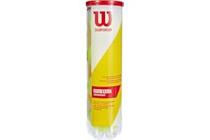 WILSON Balles de Tennis, Champ Extra Duty, Boîte de 3, pour Tous Les Revêtements, Jaune, WRT100101