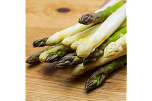 GARDENERSDREAM Asparagus Vittorio Crowns Bare Root Perennial Outdoor Garden Salad Vegetable (3 Crowns)