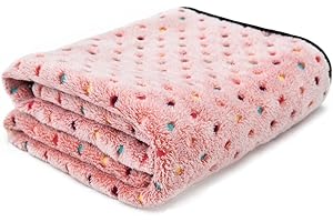 PAWZ Road Soffice Coperta Cane Morbido Caldo Lavabile Copertina Tappeto per Cani Gatti Cuccioli Stuoia Pads (M 104x78CM, Rosa)