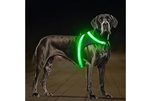 ChalkLit LED Leuchtendes Hundegeschirr USB Wiederaufladbares Vollständig Beleuchtetes Hundegeschirr Leuchtet Im Dunkeln für Nachtspaziergänge Sicherheitsweste, mittelgroße große Hunde (Grün, L)