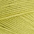 Stylecraft 9041822 Special DK Pistachio (1822) Yarn - 100g