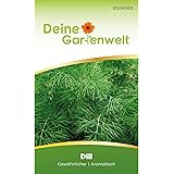 Dill Samen (Gewöhnlicher) | Dillsamen | Saatgut für Dill-Pflanzen | Kräutersamen