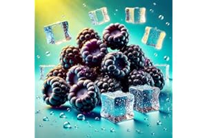 Blue Raspberry Razz Ice Aroma Konzentrat - Vegan - Sasami - 10ml