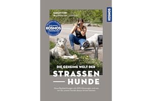 Die geheime Welt der Straßenhunde: Neue Beobachtungen mit GPS-Messungen und was wir für unsere Hunde daraus lernen können