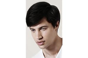 ‎SALAIBS Salaibs Herren Schwarze Kurze Perücken Natürlich aussehende Seitenteil Männliche Perücke Realistische synthetische hitzebeständige Haar Perücken Für Täglichen Gebrauch