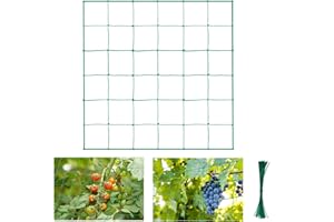 Halcyerdu Pflanzennetz, Premium Ranknetz, für Gurken, Tomaten und Rankhilfen für Kletterpflanzen. Premium Gartennetz Größe: 1.8m x 1.8m, Maschnweite (10cm) grün