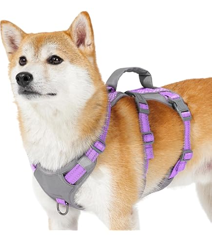 Ferplast 75467122 ERGOTREKKING P LARGE, Ergonomisch borstharnas voor middelgrote tot kleine honden, Zes bevestigingen met microregulatie, Zachte voering, Reflecterend, Bruin, L