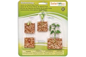 SAFARI LTD. Safari Ltd 9 Figurines d'arbre Miniatures | Figurines de forêt Miniatures | Non Toxique et sans BPA | Convient aux Enfants de 3 Ans et Plus, Vert