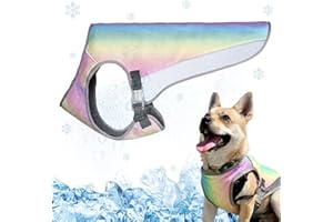 Vivi Bear Regenbogen Hundekühlweste Atmungsaktiv Mesh Hundejacke Sommer Cool und Bequem Hundemantel, leichte Jacke mit kühlender Mikrofaser-Technologie für Große Mittlere und Kleine Hunde,S