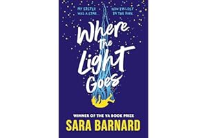 Where the Light Goes: A heartbreaking and hopeful novel about losing someone you love and finding yourself in the grief that follows, from the winner of the YA Book Prize