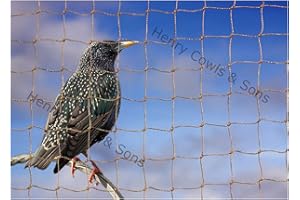 HENRY COWLS Bird Netting For the Garden 5m x 5m 28mm Anti Starling Knotted 1 1/8" Mesh Heavy Duty Stone Net
