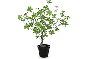 ‎ARBORUS Arborus Kunstpflanzen im Topf 55 cm Künstliche Pflanzen wie Echt Enkianthus Grün Zimmerpflanzen Plastik Pflanzen für Tisch Regal Deko im Wohnzimmer Schlafzimmer Badezimmer Esszimmer Boho Modern Japan