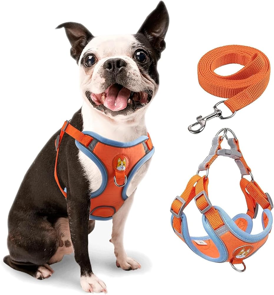 Joyzzz Küçük Köpek Koşum Çekme Yok, 2 Tasma Klipsli Ayarlanabilir Yavru Köpek Koşum, Ultra Konfor Yastıklı Köpeks Yeleği, Küçük Köpekler için Kolay Kontrol Yansıtıcı Köpeks Koşums ve Tasma Seti (M)