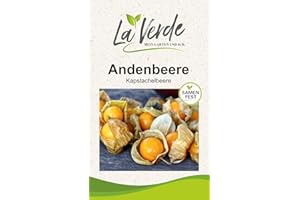 LA VERDE MEIN GARTEN UND ICH. Andenbeere Samen